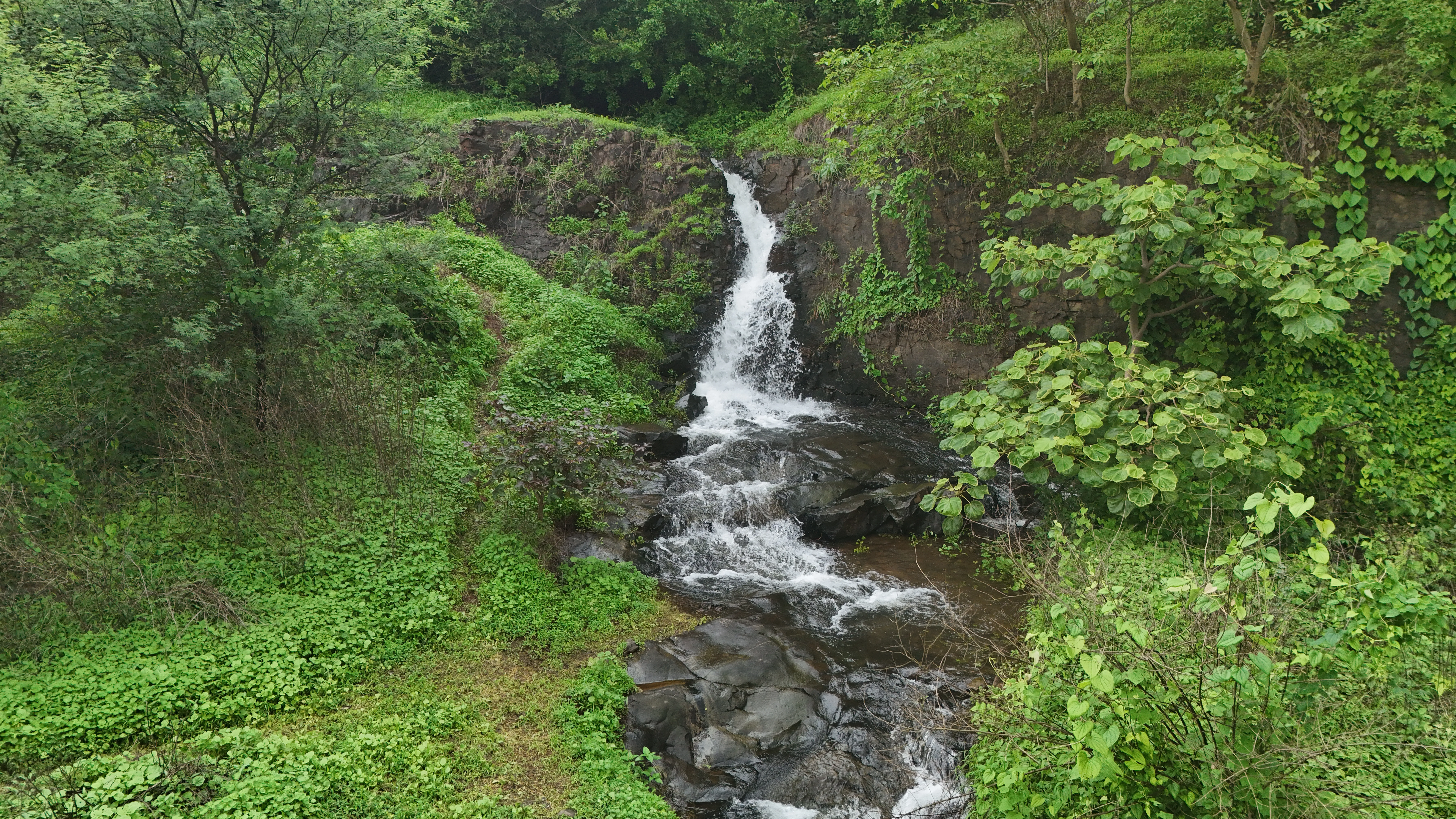 Environmental