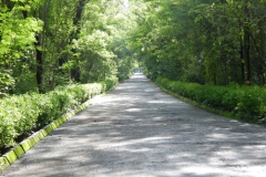 Uma estrada em Atul